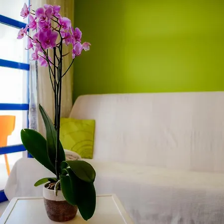Playmar 2 Bungalow